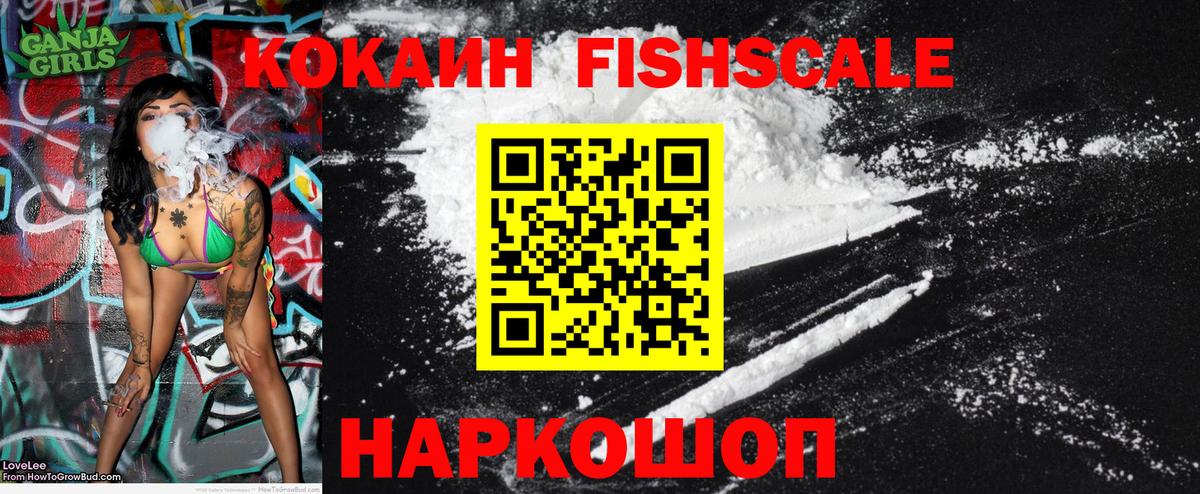 COCAIN Fish Scale Сочи