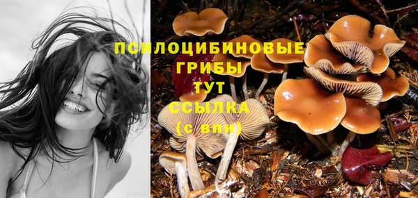 ECSTASY Каменск-Шахтинский