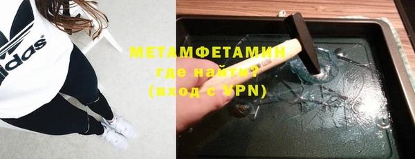 прущие грибы Каменногорск
