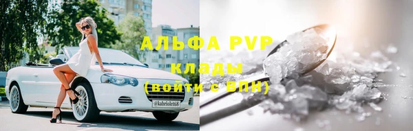 прущие грибы Каменногорск