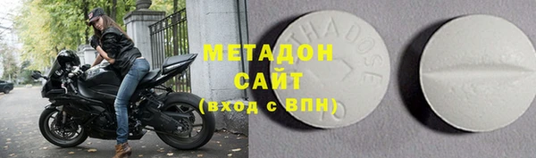 прущие грибы Каменногорск