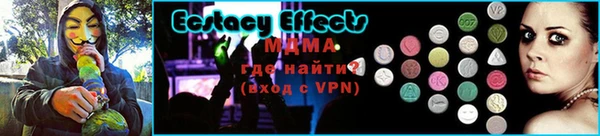 прущие грибы Каменногорск
