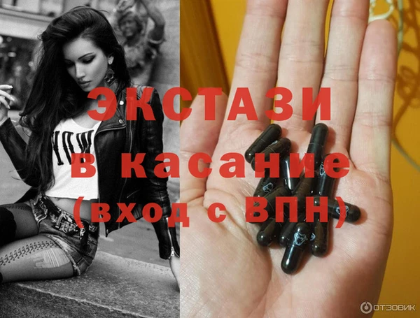 прущие грибы Каменногорск