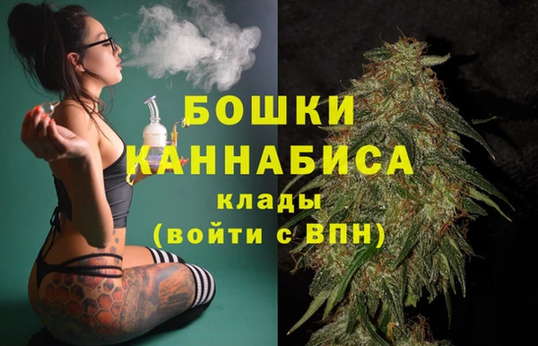 прущие грибы Каменногорск