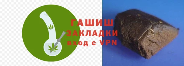 прущие грибы Каменногорск