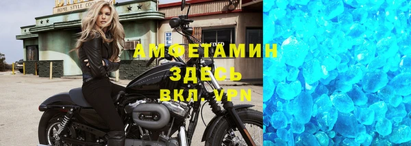 прущие грибы Каменногорск