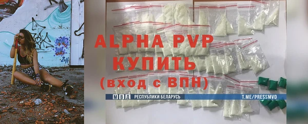 прущие грибы Каменногорск