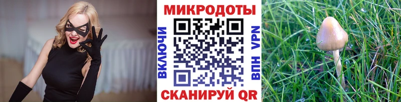 Галлюциногенные грибы Cubensis  Сочи 